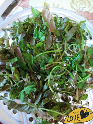 【shandong】pickled Toon recipe