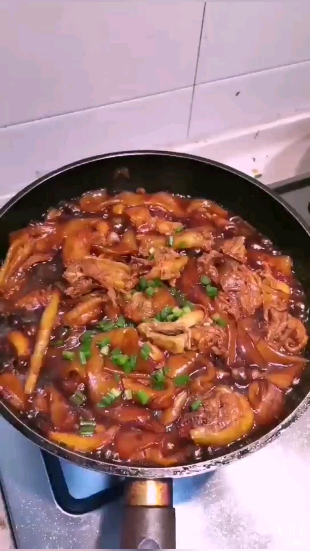 Stewed Chicken with Vermicelli recipe