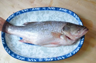 Steamed Sea Bass recipe