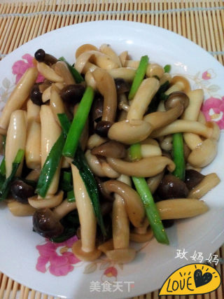 Stir-fried Seafood Mushroom recipe