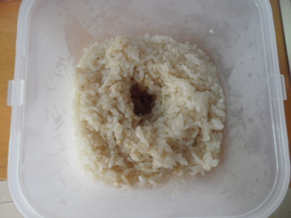 Homemade Rice Wine recipe