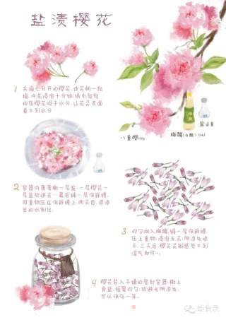 [hand-drawn Recipe] The Warmth Hand-made by Salted Cherry Blossoms Can’t be Compared to Any Industrial Product recipe