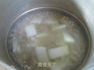 Barley Soup with Winter Melon and Pork Ribs recipe