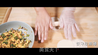 Vegetarian Spring Rolls recipe