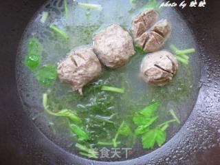 Beef Tendon Ball Sea Fa Vegetable Soup recipe