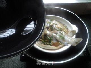 【steamed Sea Fish】 recipe