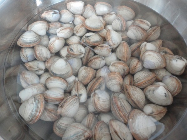 Clams with Cold Clams recipe