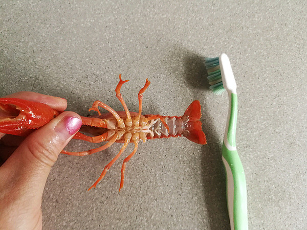 Steamed Crayfish recipe