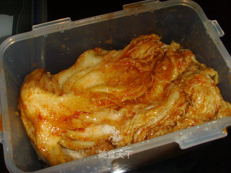 Learn to Make Spicy Cabbage~ recipe