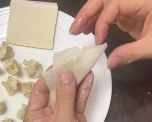 Super Fresh Fresh Meat Ravioli Stew (with Flower Wrap Method) recipe