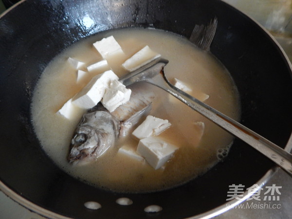 Crucian Tofu Soup recipe