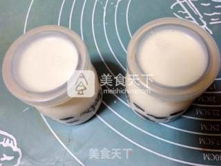Cloud Recipe Original Yogurt recipe