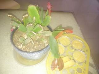 Cup Sponge Cake recipe