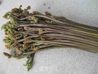 Fiddlehead recipe