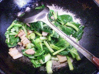 Stir-fried Cantonese Choy Sum recipe