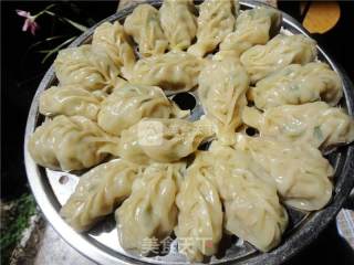 Delicious Steamed Dumplings recipe