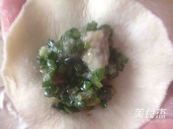 Pork and Chive Dumplings recipe