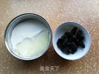 [summer Drinks] Mulberry Yogurt Shake recipe