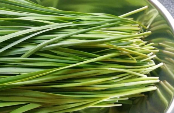 Leek and Egg Dumplings recipe