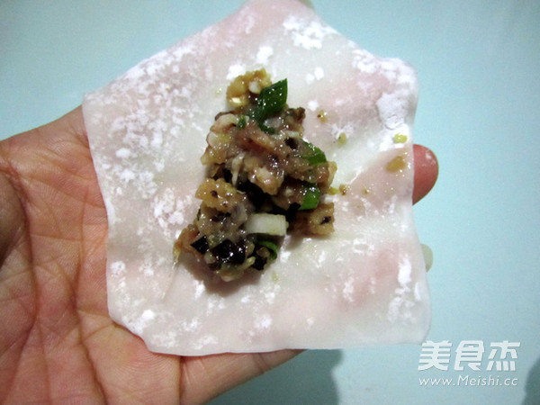 Wonton with Fresh Meat and Mushroom recipe