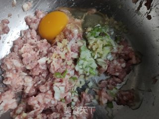 Pork and Radish Meatballs recipe