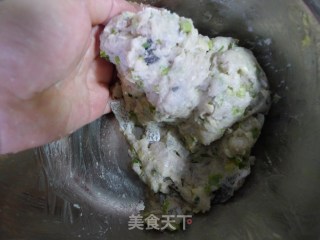 Traditional Wenzhou Fish Ball recipe