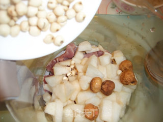 Lung Nourishment in Autumn: Sydney Chuanbei Lean Meat Soup recipe