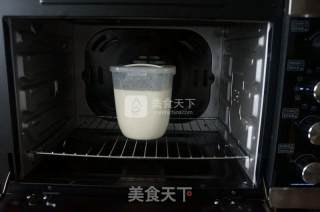 Aca Oven Version-homemade Yogurt recipe