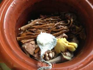 【stewed Pigeon with Tea Tree Mushroom】 recipe