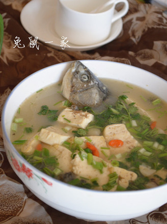 Crucian Tofu Soup recipe