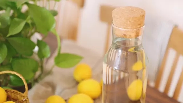 Lemon Vinegar recipe