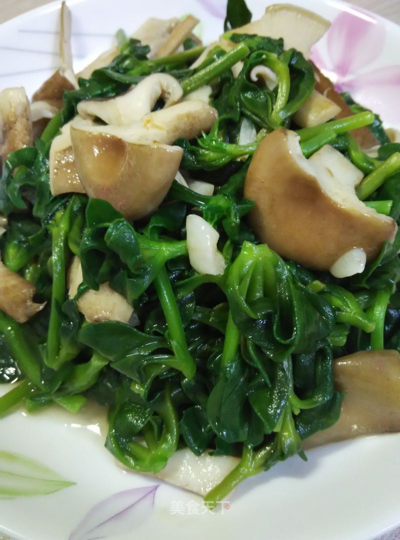 Stir-fried Tianqi Pork Belly Mushroom recipe