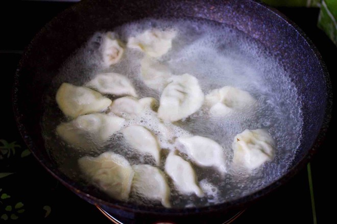 Mushroom Leek Dumplings recipe