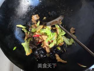 Stir-fried Pork with Cabbage and Fungus recipe