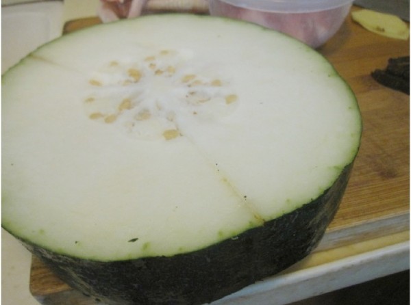 Raw Ground Ophiopogon Winter Melon in Pot recipe