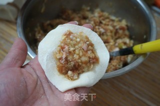 [beijing] Pork and Cabbage Dumplings recipe