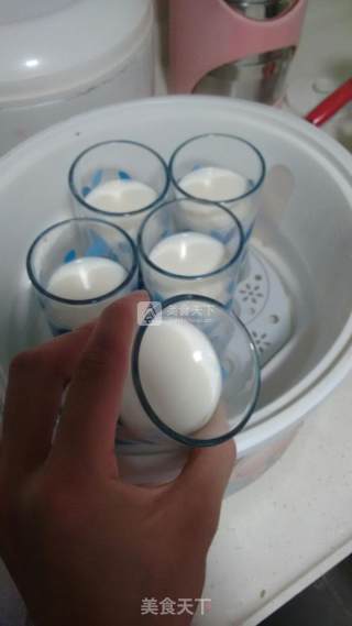 Diy Plain Yogurt recipe