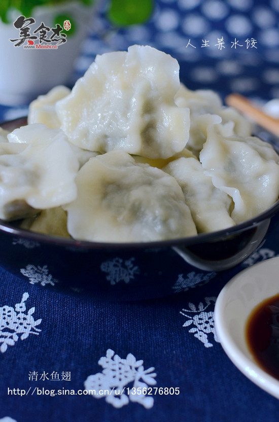 Handmade Wild Vegetable Dumplings recipe