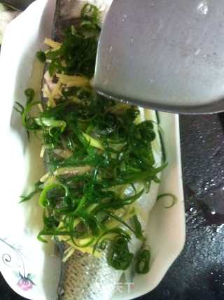 Cantonese Style Steamed Sea Bass recipe