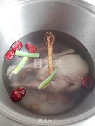 Red Date Ginseng Chicken Soup recipe