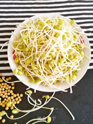 Homemade Soybean Sprouts recipe