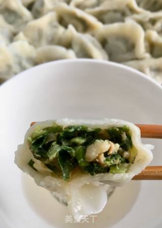 Moss and Pork Dumplings recipe