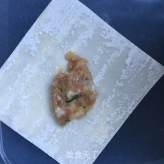 Wontons with Seaweed and Shrimp Meat recipe