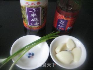 Bean Curd with Red Oil and Coriander recipe