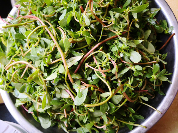 Purslane Steamed Dumplings recipe