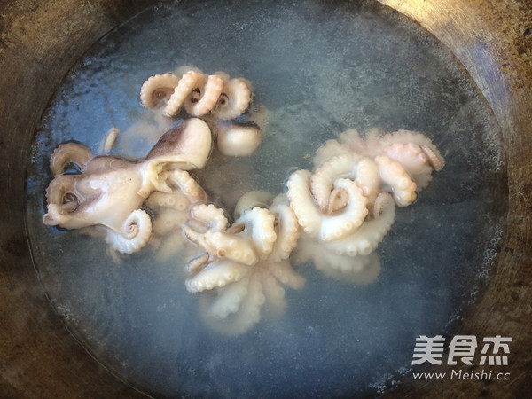 Spicy Octopus recipe