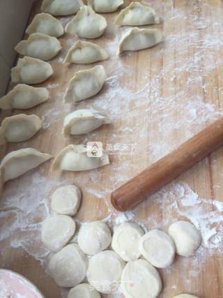 Lamb and Celery Dumplings recipe