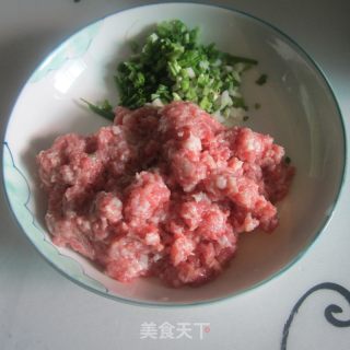 Egg Skin Meat Dumplings recipe