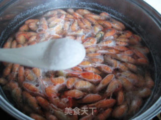 Brine Shrimp recipe