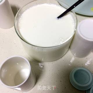 #trust of Beauty# Homemade Chuanxiu Children's Bacteria Yogurt recipe